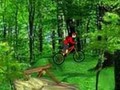 Mountain Bike ஆன்லைன் விளையாட