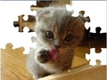 Cat Puzzle Carino ஆன்லைன் விளையாட