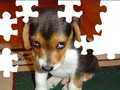 Dog Puzzle Carino ஆன்லைன் விளையாட