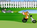 Tom e Jerry Backyard giro ஆன்லைன் விளையாட