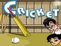 Galli Cricket ஆன்லைன் விளையாட