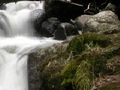 Foresta cascata ஆன்லைன் விளையாட