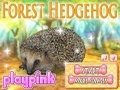 Foresta Hedgehog ஆன்லைன் விளையாட