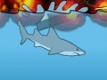 Miami Shark ஆன்லைன் விளையாட