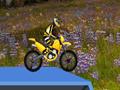 Hillblazer FMX ஆன்லைன் விளையாட